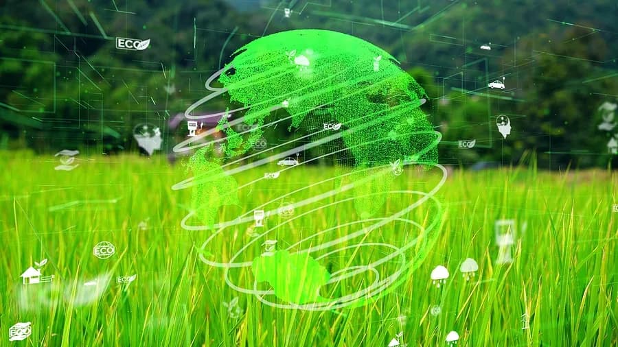 fundo gramado com um globo verde rodeado por ícones de ecologia