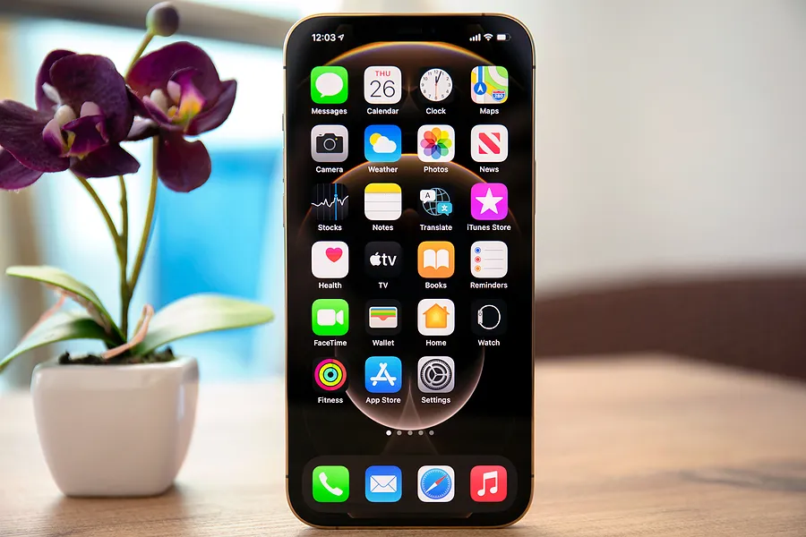 iPhone ao lado de uma flor