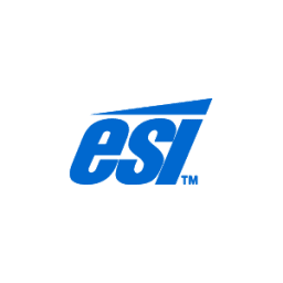 Logotipo da E&S International Enterprises (ESI)